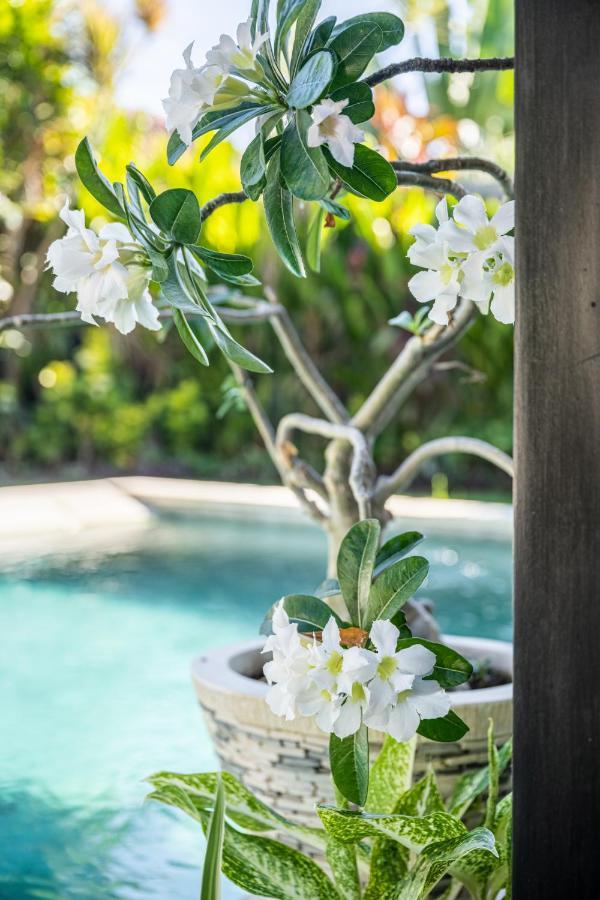 Jagaditha Villas Sanur Екстериор снимка